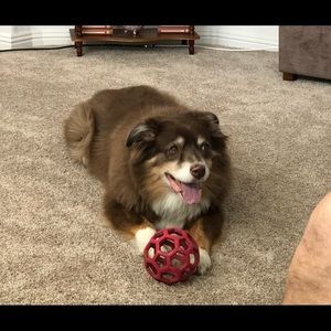 Meet your Posher, Robin